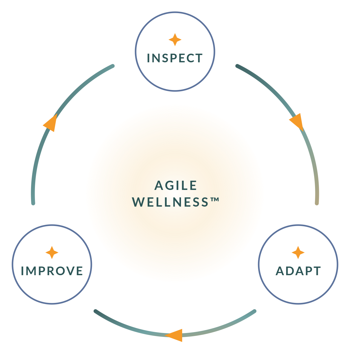 Agile Wellness cycle: Inspect, Adapt, Improve
